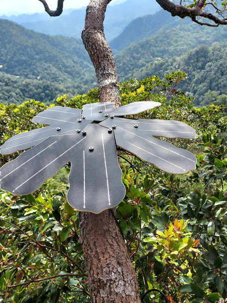 Protecting the rainforest with modern technology: Infineon Technologies and Rainforest Connection use sensor technology to protect vulnerable regions